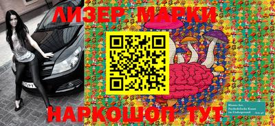 стаф Дубна