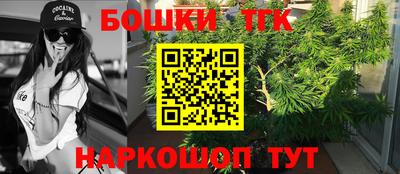 стаф Дубна
