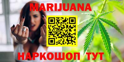стаф Дубна