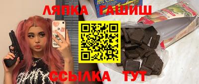 стаф Дубна