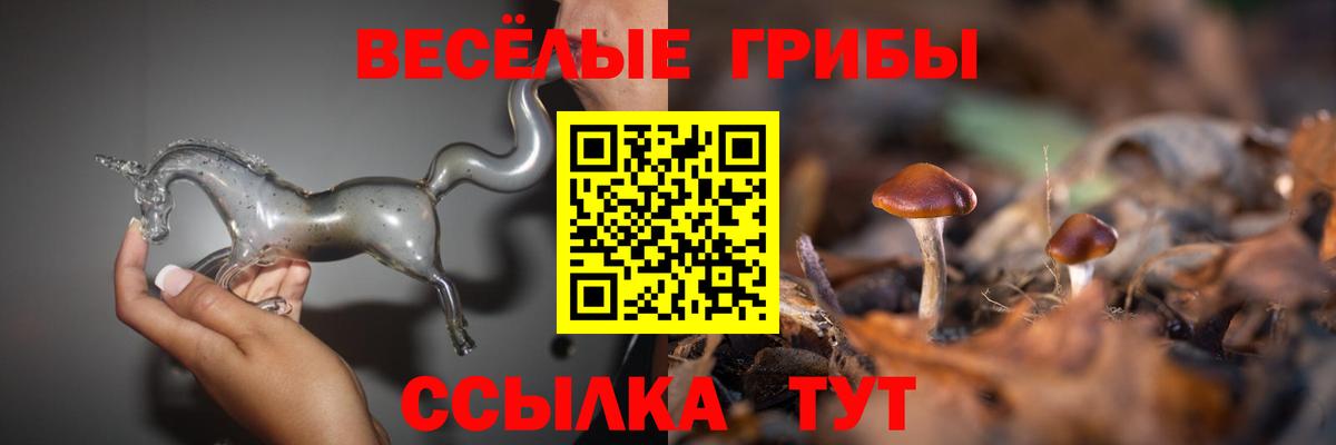 Новокуйбышевск  Галлюциногенные грибы Psilocybine cubensis  Галлюциногенные грибы GOLDEN TEACHER  Вход с VPN 